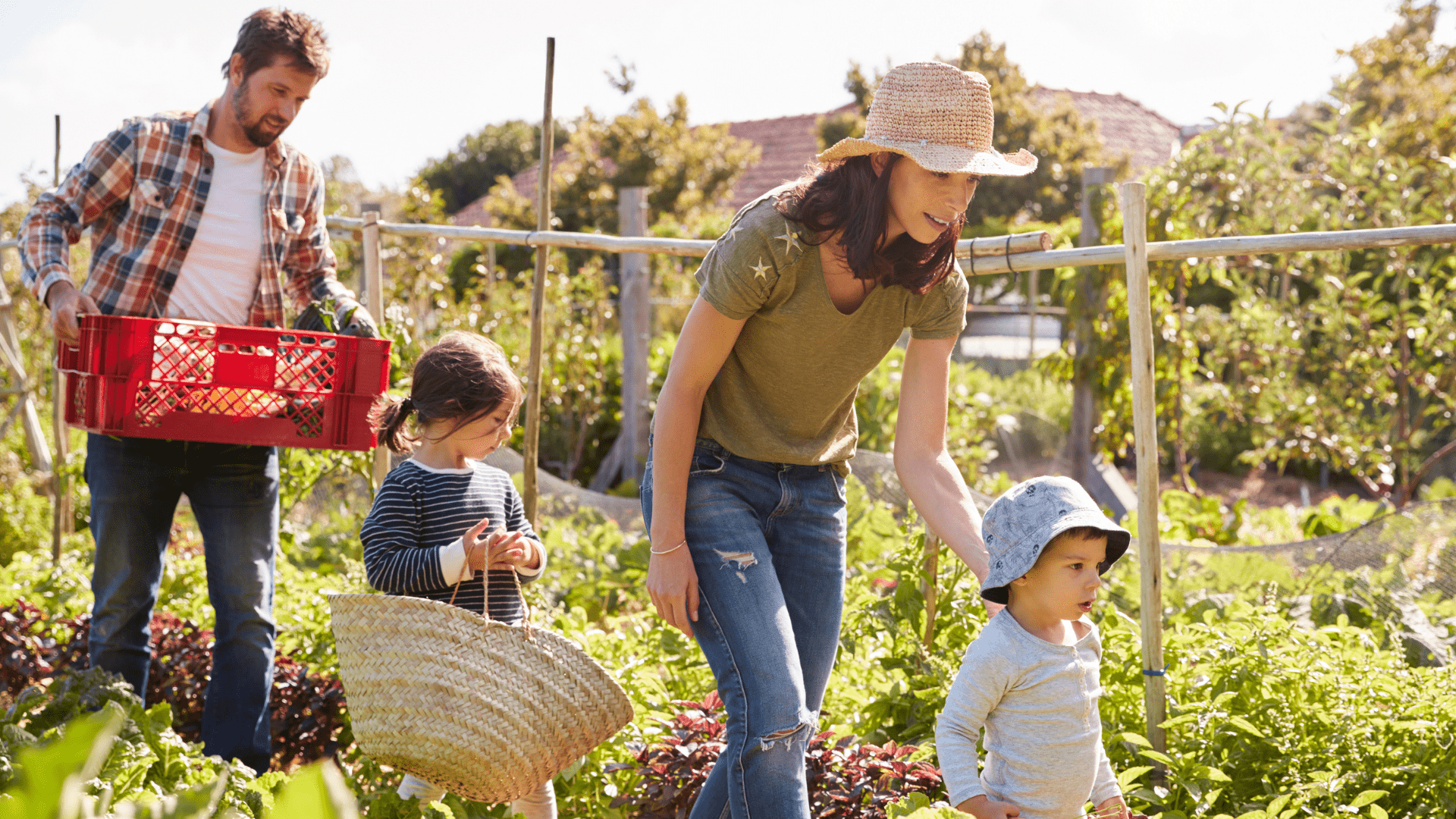 Go Green come famiglia: 4 consigli per avere una vita domestica più sostenibile